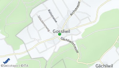 Standort Gossliwil (SO)